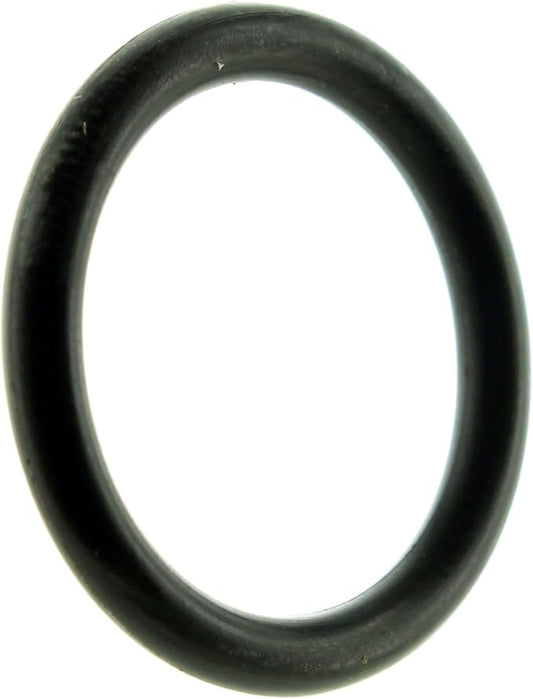 EVINRUDE OEM GEARCASE HEAD O-RING