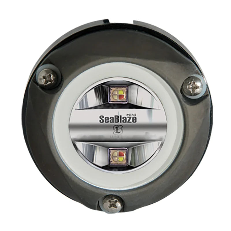 LUMITEC ZAMBEZI MINI SURFACE MOUNT UNDERWATER LIGHT